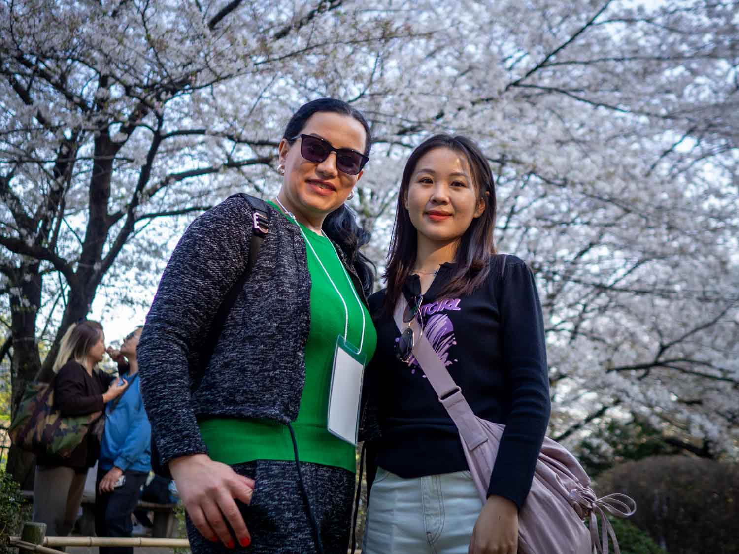 Cherry Blossom Viewing Side Event
